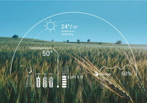 Crop yield prediction