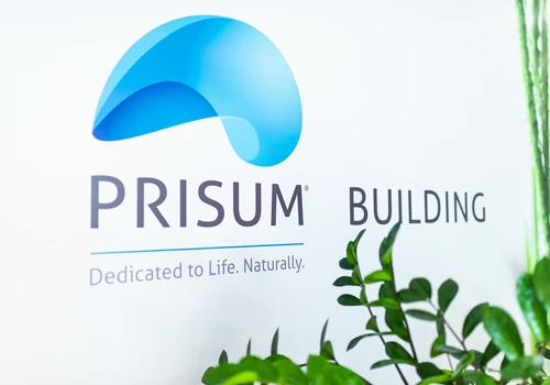 Corporate Branding Prisum