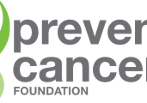 IT Services for Non Profit Organization