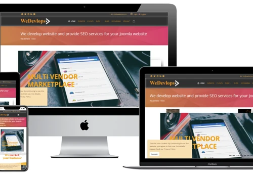 Website development