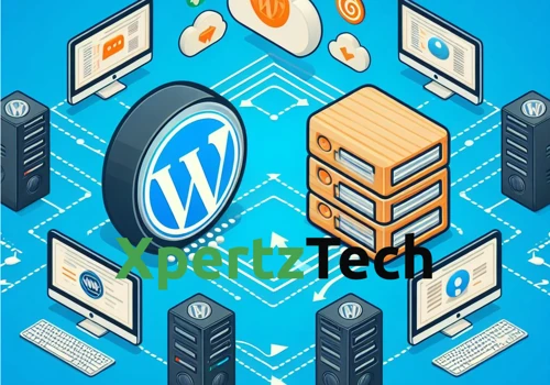 Web Design & Development