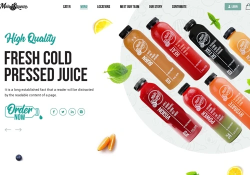 Main Squeeze Juice Website Design