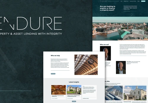 Endure Fund: Brand Identity and Website