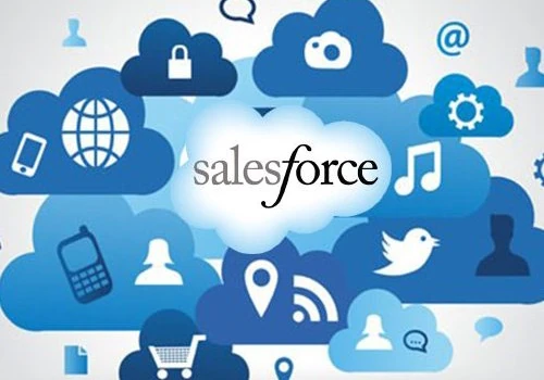 SALES FORCE DESIGN, CUSTOMIZATION, & IMPLEMENTATION