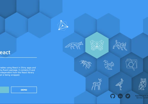 Shiny Open Source Packages