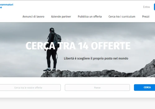 Programmatori Online