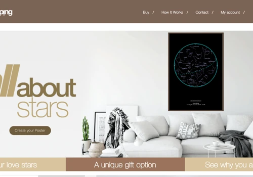 Ecommerce Website Development.