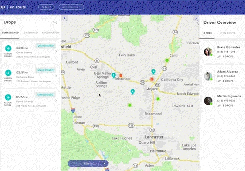 Strategic QA for a Cannabis eCommerce SaaS Product