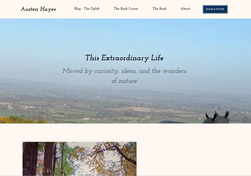 Wix Website Re-design for Austen Hay