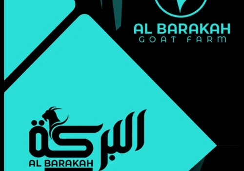 Web & LOGO DESIGN