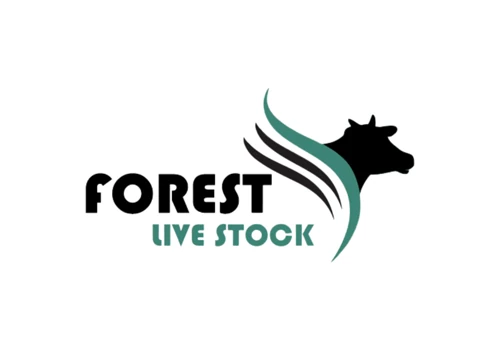 Directory website