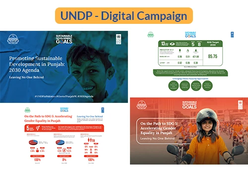 Digital Advertising Campaign