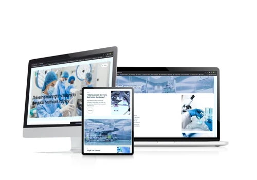 Pulse Project of Identity & website Design