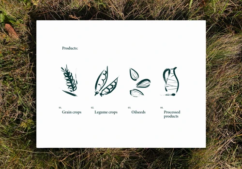 Rebranding for an agrotrading company