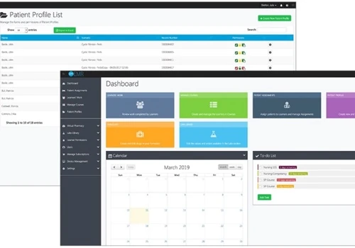 Patient EMR Portal