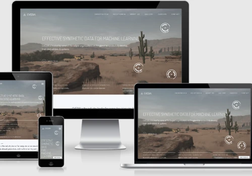Custom Wordpress Design and Development for CVEDIA
