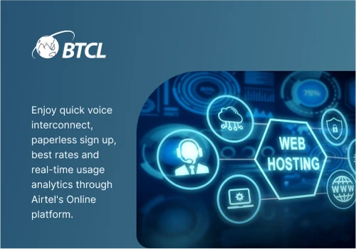 Domain & Server Hosting Management – BTCL Descript