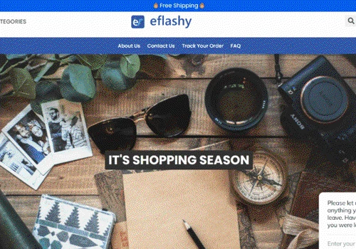 Website development and paid advertising