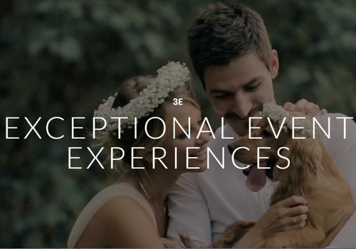 Wedding Venue Website Design