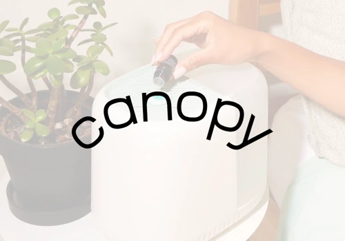 Canopy - Paid Search, Paid Social, SEO