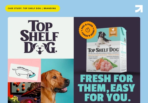 Top Shelf Dog | Branding