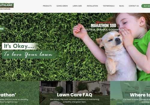 Website Design