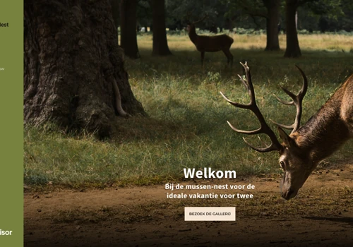 De mussen nest