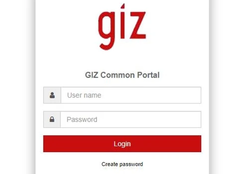 Custom Software Dev