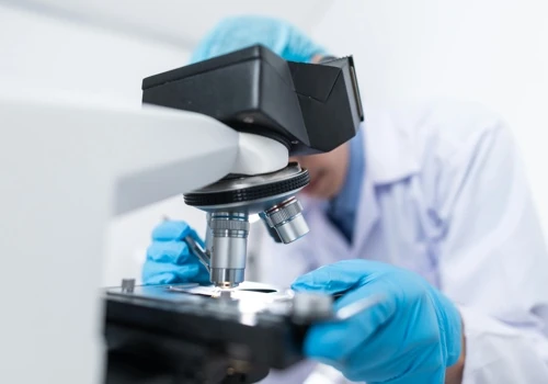 RNB Empowers Sernova's Strategic Growth