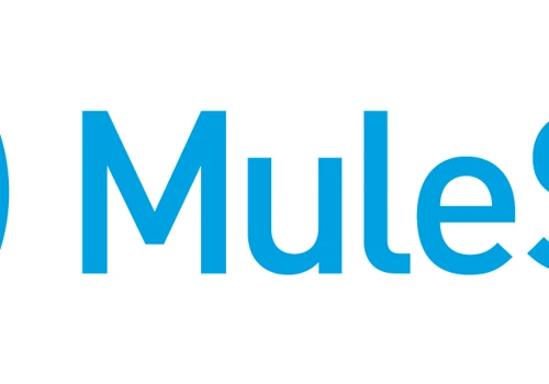 Mulesoft consulting