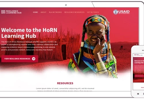 The HoRN Learning Hub Website Design & Development