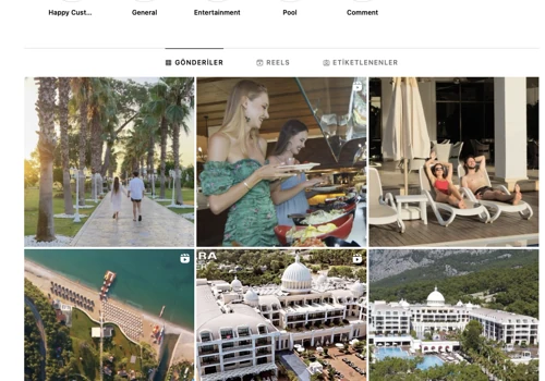 Social Media Management & Website Designing