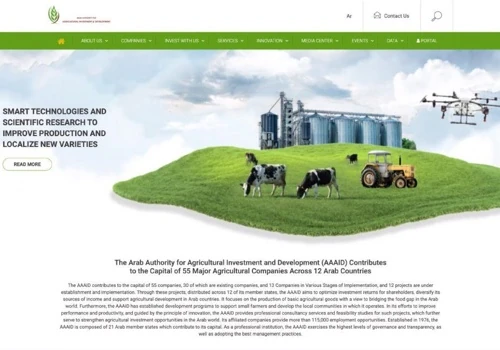 AAAID - Website Design and Development