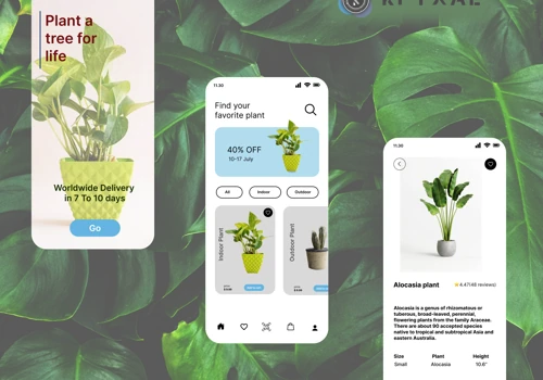 UI/UX graphic design