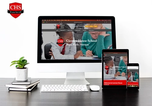 Cognita - WordPress website development