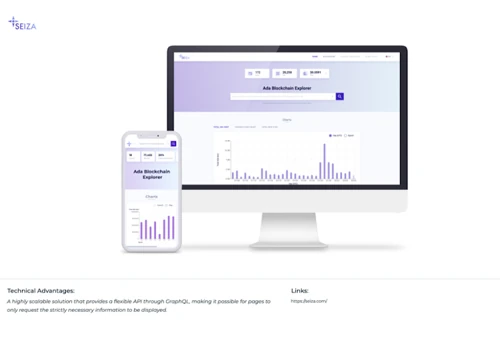 Seiza Blockchain Explorer