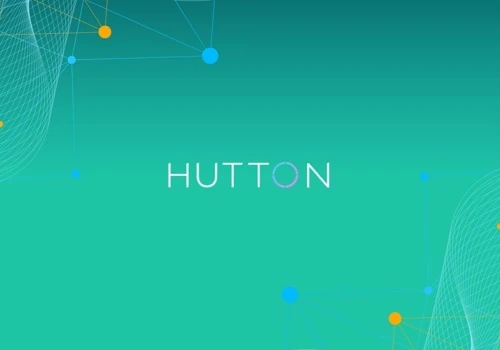 IT Relationship Hutton Consulting Was Looking For