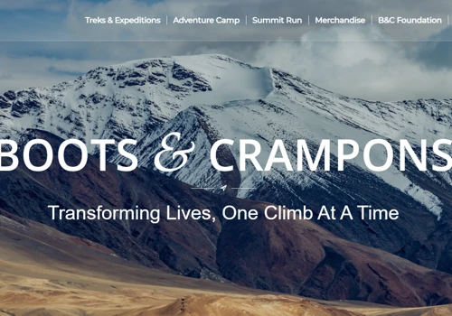 Redesign Website, Development and Brand Promotion