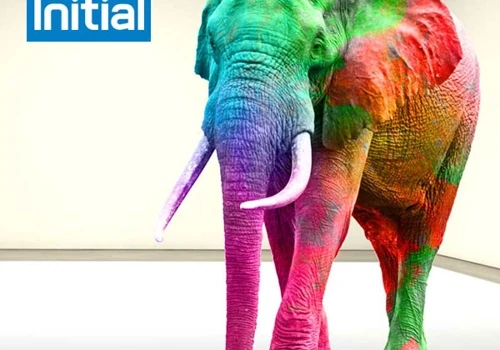 Elephant In The Washroom
