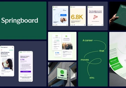 Springboard Brand & Website Design