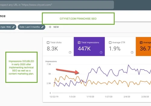 Franchise SEO - cityvet.com