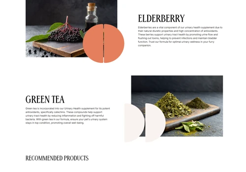 Pet Supplement Shopify Online Store