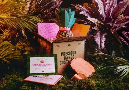 Del Monte