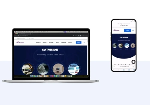 Catvision - Website Development