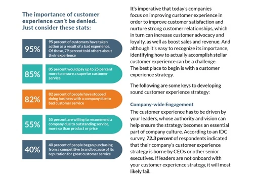 Developing a Customer Experience Strategy Guide