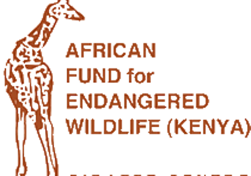 Giraffe Centre