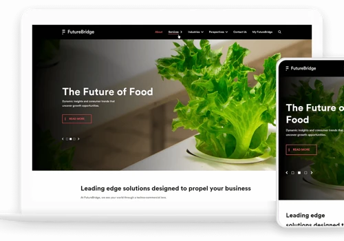 Custom WordPress Development