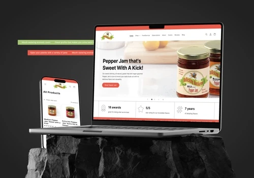 372% sale increase after ecommerce redesign