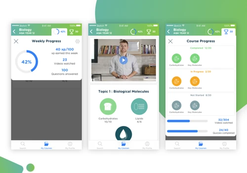 Snaprevise - is an online tutoring platform