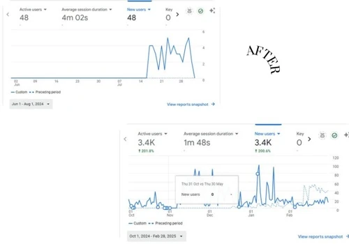 Monthly Basis- SEO service to increase traffic